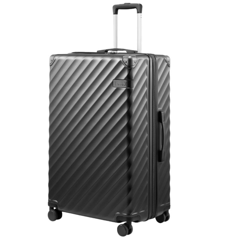 LUGGEX 28 inch charcoal hard-side checked suitcase